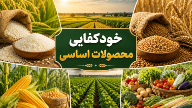 خودکفایی محصولات کشاورزی